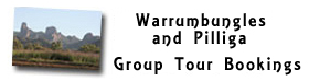 Warrumbungles and Pilliga