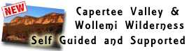 Capertee Valley and Wollemi